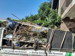 Best Construction Debris Removal  in Bellevue, WI